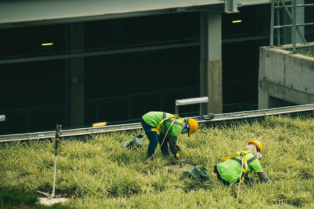 Des apprentis paysagistes