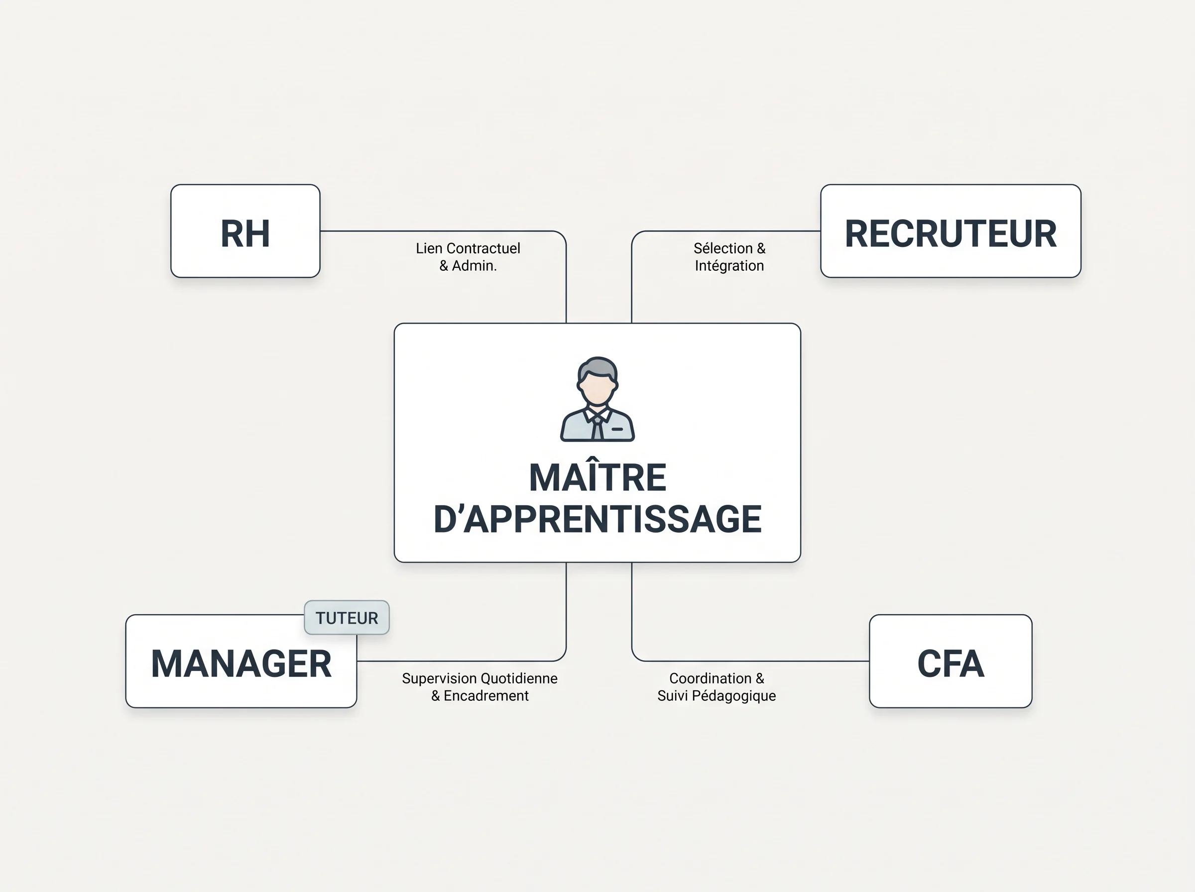 Comprendre la place du maître d’apprentissage dans l’entreprise Schéma comparatif qui distingue le maître d’apprentissage des RH, du recruteur, du manager et du CFA.